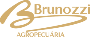 BRUNOZZI