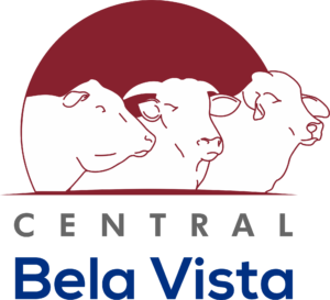 CENTRAL BELA VISTA