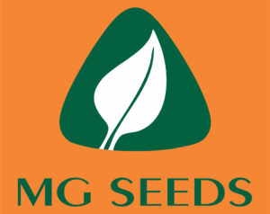 MG SEEDS